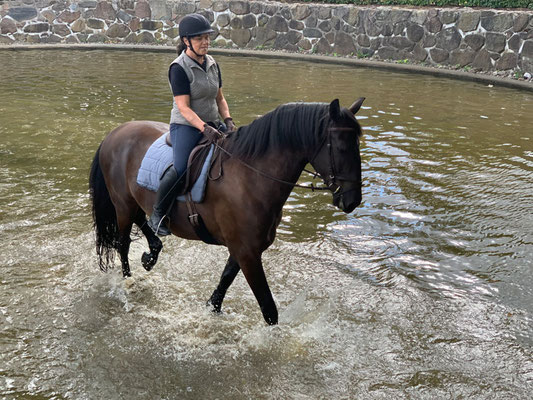 RID Reiten im Damensattel Lehrgang Redefin 2022