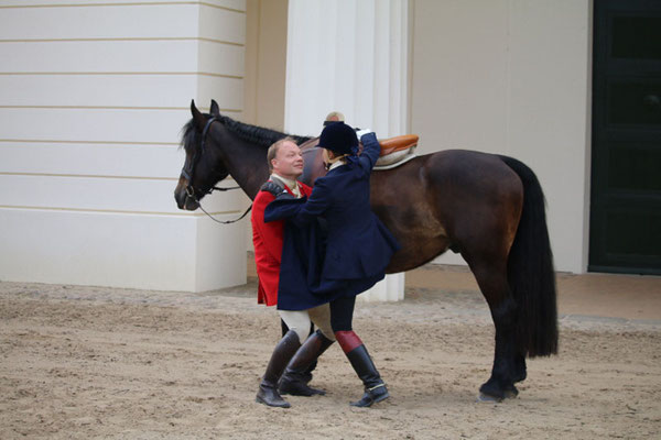 RID Reiten im Damensattel Lehrgang Redefin 2022