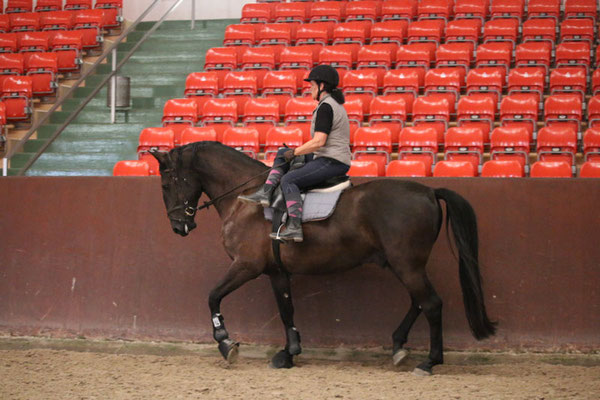 RID Reiten im Damensattel Lehrgang Redefin 2022