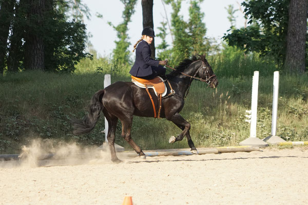 RID Reiten im Damensattel, Dr. Bettina Grahner, Claudia Strommenger, 90. Geburtstag RuFV Dilkrath, Jagdreiten im Damensattel