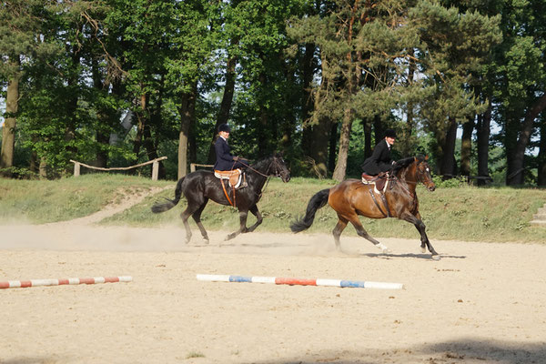 RID Reiten im Damensattel, Dr. Bettina Grahner, Claudia Strommenger, 90. Geburtstag RuFV Dilkrath, Jagdreiten im Damensattel