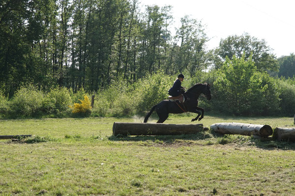 RID Reiten im Damensattel, Dr. Bettina Grahner, Claudia Strommenger, 90. Geburtstag RuFV Dilkrath, Jagdreiten im Damensattel