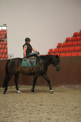 RID Reiten im Damensattel Lehrgang Redefin 2022