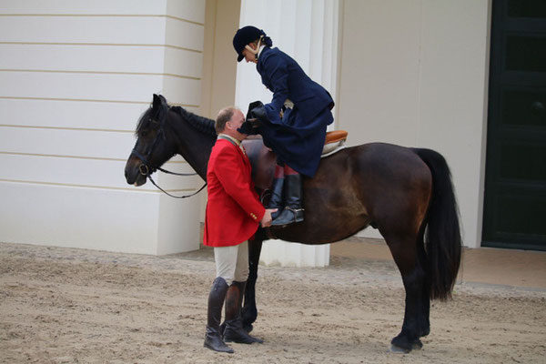 RID Reiten im Damensattel Lehrgang Redefin 2022