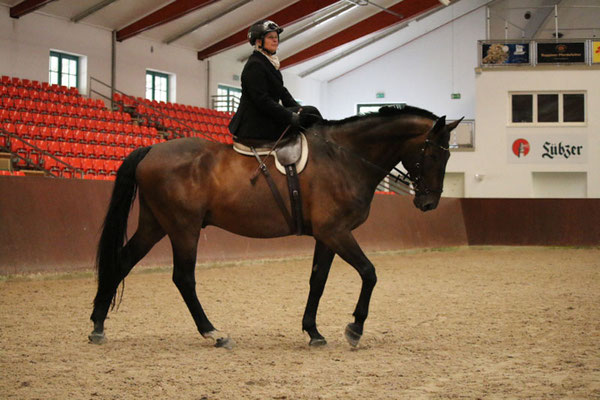 RID Reiten im Damensattel Lehrgang Redefin 2022