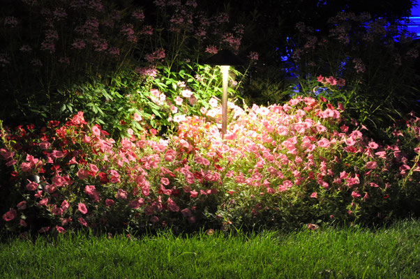 Why should this beautiful flower bed only be enjoyed by day? A tall path light with a wide beam spread allows the homeowners and their guests to enjoy these flowers after dark. Bergen County, NJ