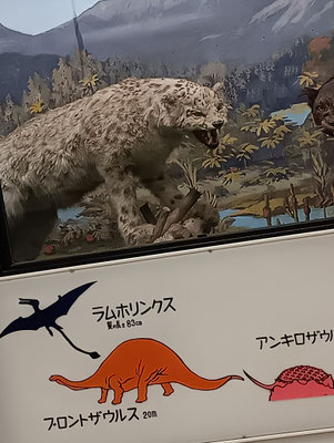 昭和な博物館