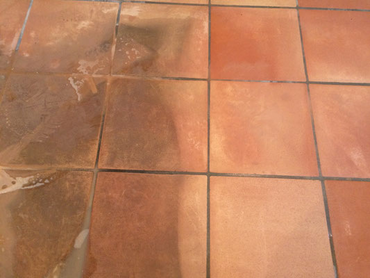 Vorher-Nachher Reinigung 