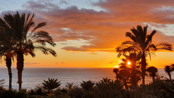 São Martinho, Funchal, Madeira