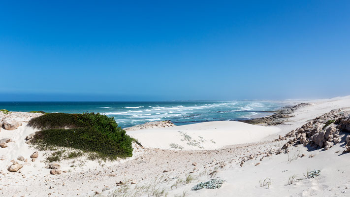 White dunes at De Hoop Nature Reserve, South Africa