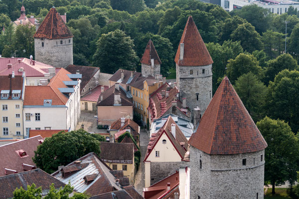 View of Tallinn's city wall from St. Olaf's church