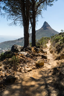 Lion's Head seen from Pipe Track, Capetown