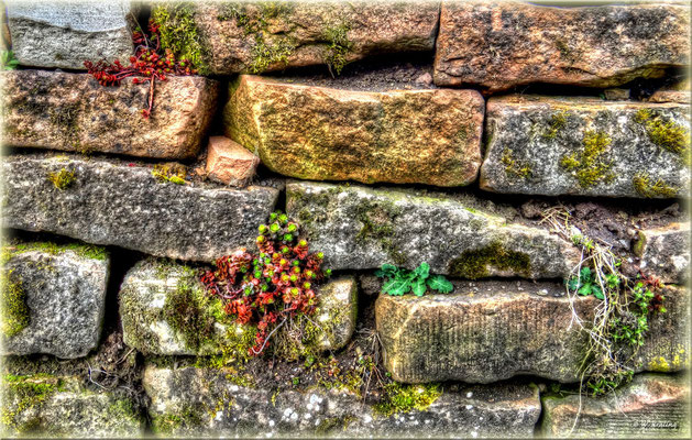 Steinmauer (HDR)