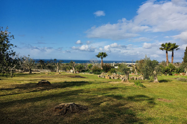 Blick über das Land aufs Meer