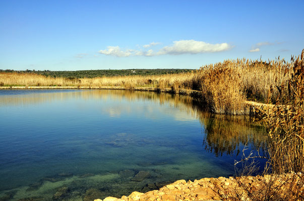 Naturschutzgebiet Ugento