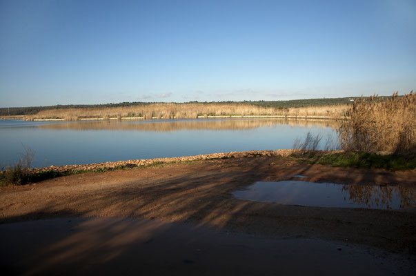 See im Naturschutzgebiet Ugento