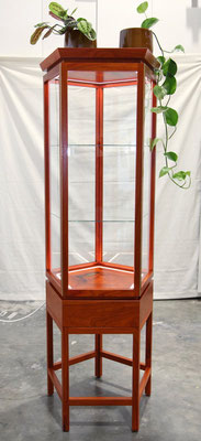 Meisterstück von David Klopffleisch: Vitrine aus Padouk