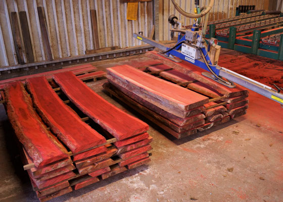 Chakte Kok fresh sawn lumber
