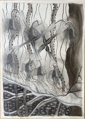 tekening no.1, houtskool, krijt, potlood, conté, 2024