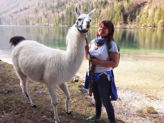 Tierkommunikation-Seminarteilnehmerin steht mit weißem Lama am Ufer des Langbathsee.