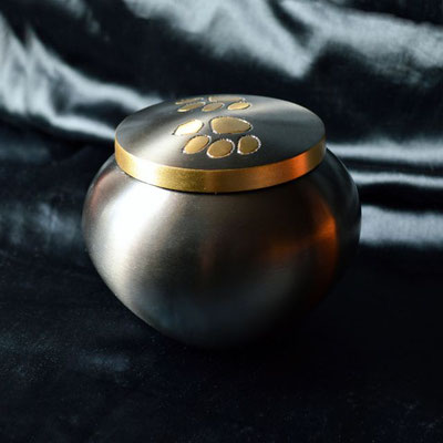 Schimmernde schwarze, runde Urne mit goldenen Pfotenabdrücken am Deckel steht auf schwarzem Samttuch.