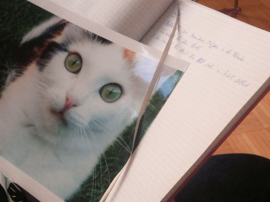 Großes, geöffnetes Notizbuch mit einigen unlesbaren Sätzen und darauf liegend ein Bild mit weißer Katze mit grünen Augen.