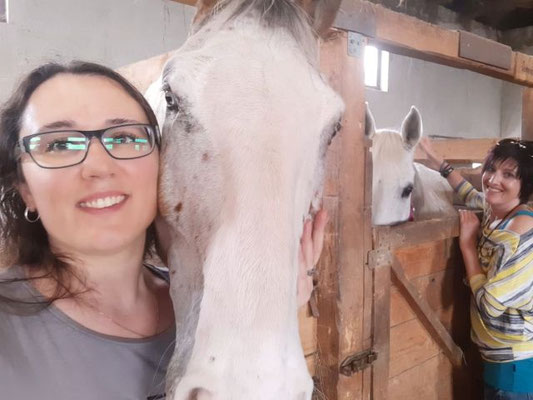 Zwei Tierkommunikation-Seminarteilnehmerin streicheln zwei Pferde in einem Tierschutzstall.