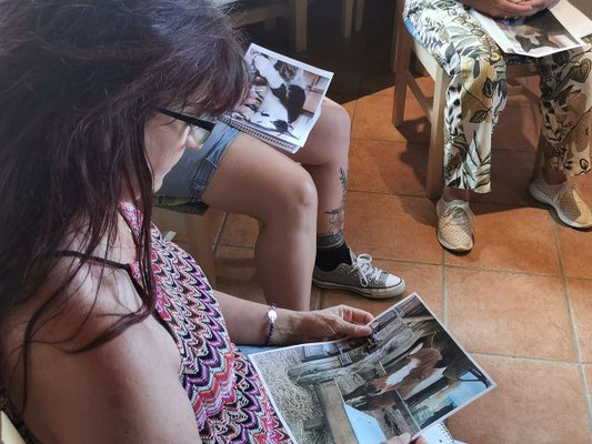 Tierkommunikation-Ausbildung – Teilnehmer üben Tiergespräche anhand von Fotos