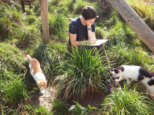 Tierkommunikation-Seminarteilnehmerin bei der Tierkommunikation mit zwei Katzen in einem Tierheim-Außengehege.