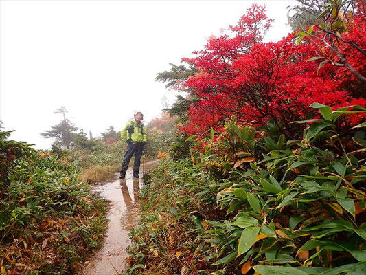 10/2 　平ケ岳稜線の紅葉