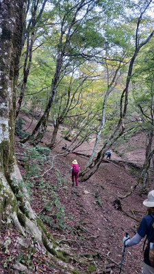 御殿山コースを登る