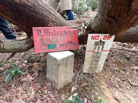 見張山山頂(517.1ｍ)標識と三角点