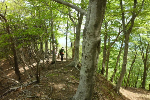 36.4登ってきました
