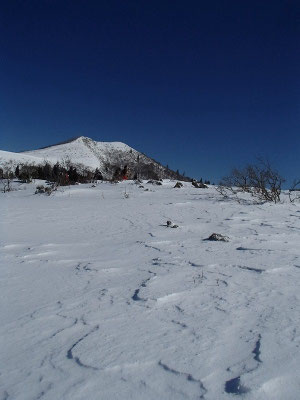 雪原の向こうに見えるのが武奈ヶ岳