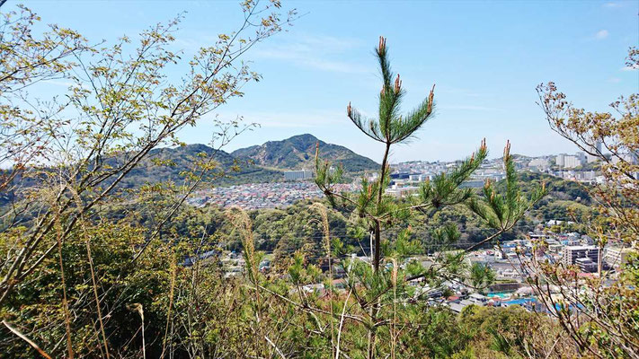 樹間からは、一回目で越えてきた須磨アルプスの山々