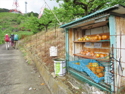 柑橘類の無人販売所。荷物が重くなるので通りです。