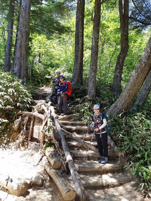 合戦尾根　急登が続きます。