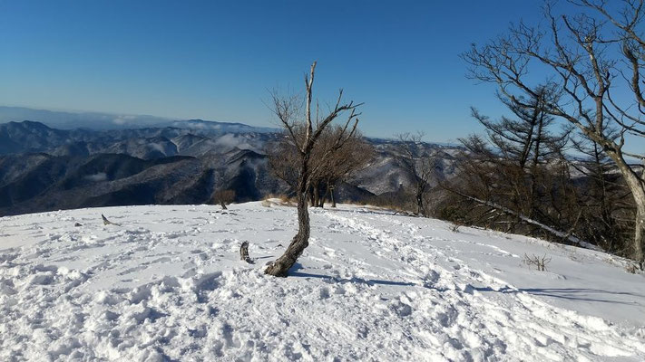 山頂から