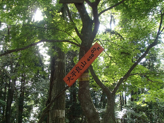 時間があるので大平良山までいってみました