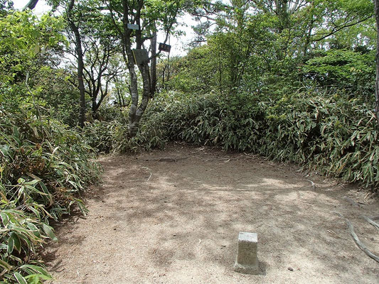 龍王山 山頂三角点周辺の様子
