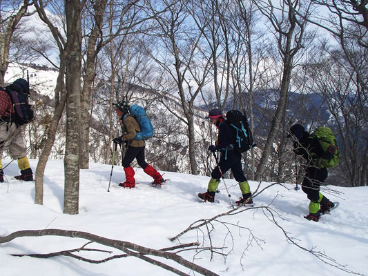 モクモクと山頂目指して