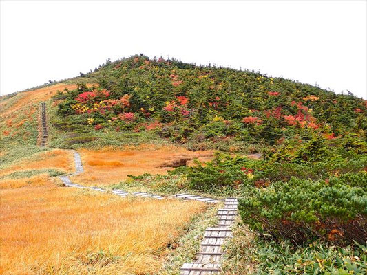 10/2  玉子石分岐で急にガスが取れると紅葉が現れた