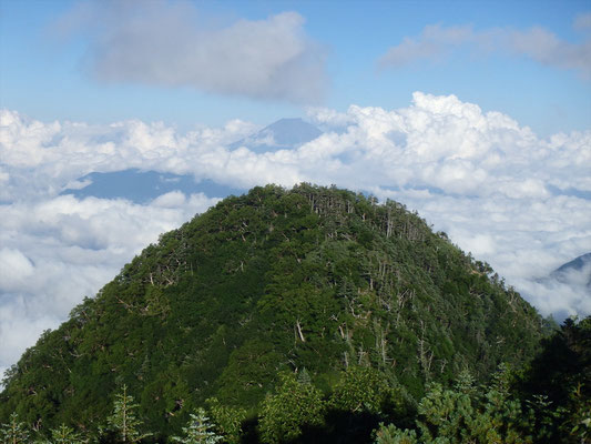 出たー！富士山と小笊♪見られて良かった