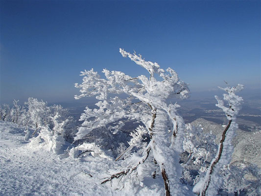 12まだ樹氷は落ちていません