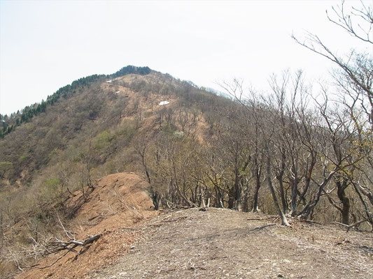 ツルベ岳への登りです。　あそこまでガンバ