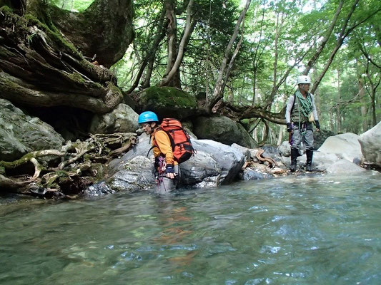 沢の水は程よい冷たさ