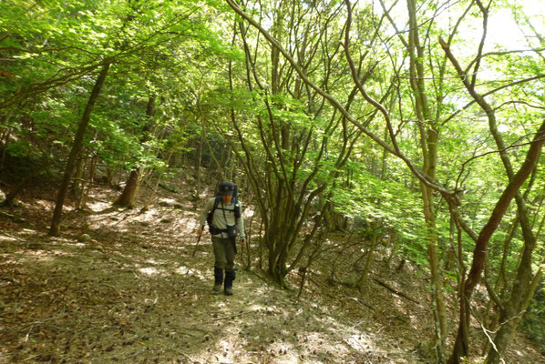 26.オゾ谷の峠道