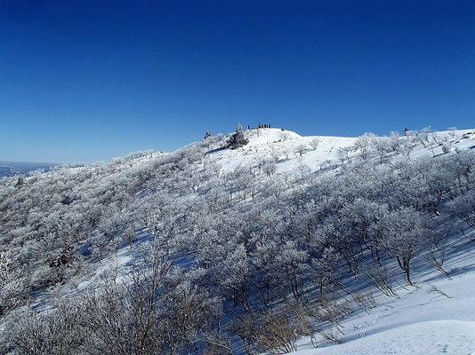 樹氷原の向こうに山頂が見えてきました