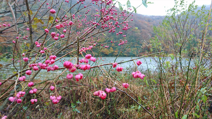 室の内池