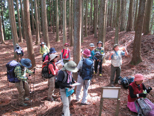 堂木山砦跡を実際に見ての説明です。右手、土塁です